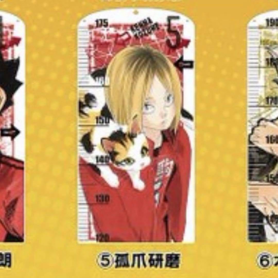 研磨 アクリル板 アクリル 等身大 身長計 ハイキュー ゴミ捨て場の決戦 研磨 アクリル板 アクリル 等身大 身長計 ハ イ キュ ー ゴミ